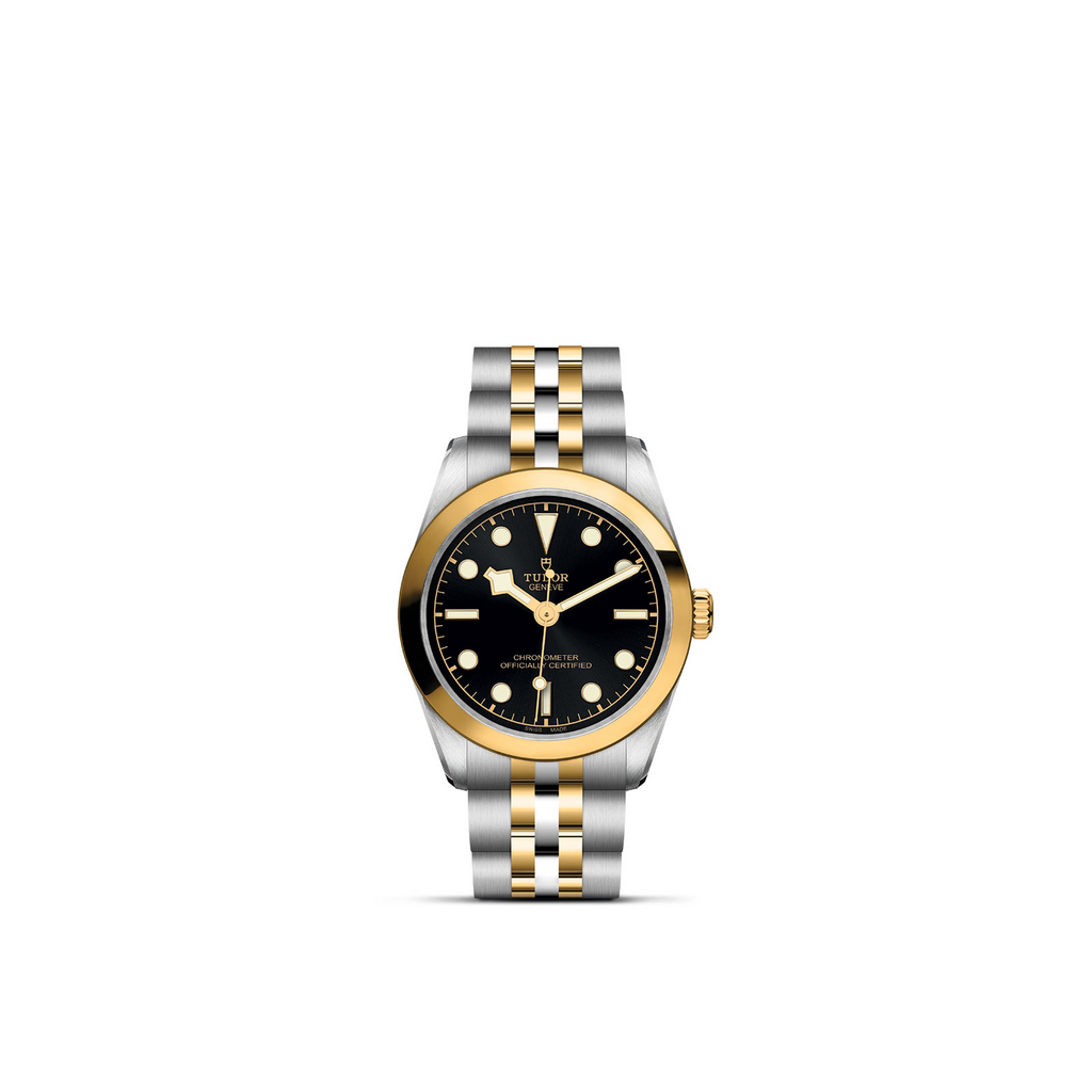 Reloj Tudor Black Bay 31 S&G M79603-0001 (8522746659096)